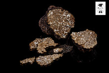 Load image into Gallery viewer, OUT OF SEASON!! Fresh Winter Black Truffles (1.00 Lb)