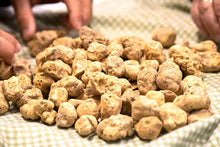 Load image into Gallery viewer, OUT OF SEASON! Fresh White Truffles (Tuber Magnatum Pico) 8 oz (226g)