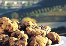 Load image into Gallery viewer, OUT OF SEASON! Fresh White Truffles (Tuber Magnatum Pico) 8 oz (226g)